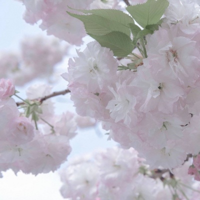 兽设场景透视教程兽圈社群